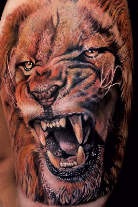 Lion Tattoo