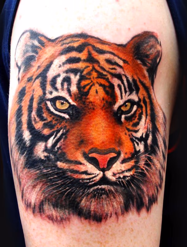 Tiger Tattoo