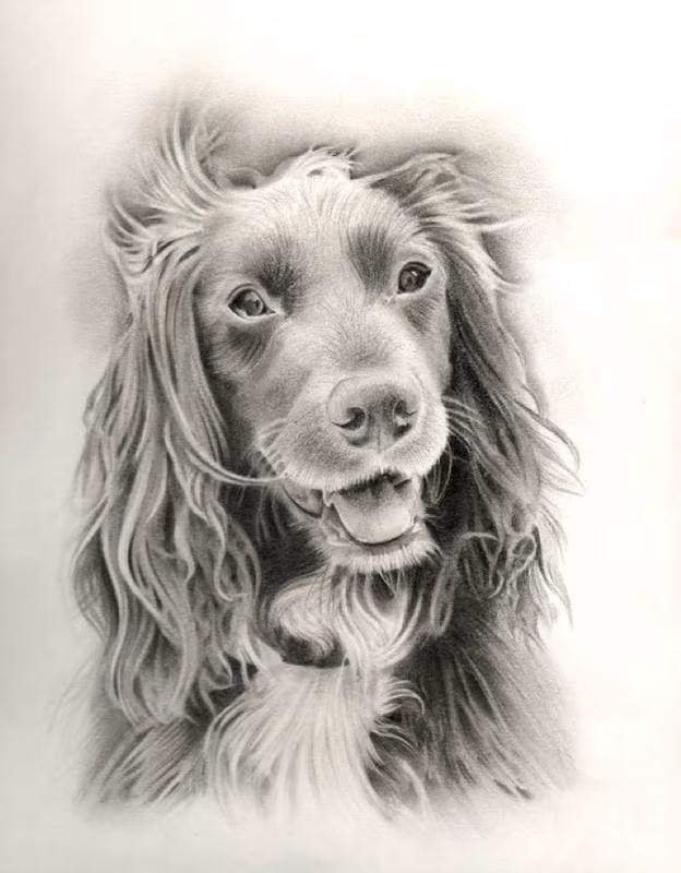 Drawing of Mia , I later did the portrait at Manchester convention