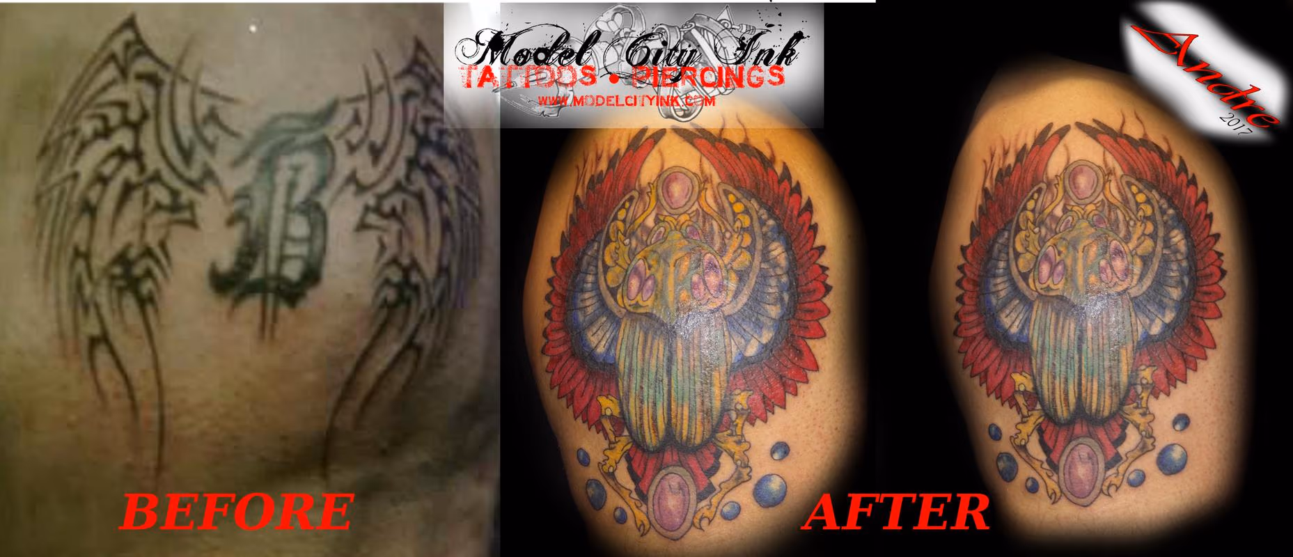 Egyptian Scarab beetle full color cover up