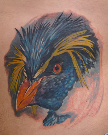 Rockhopper Penguin