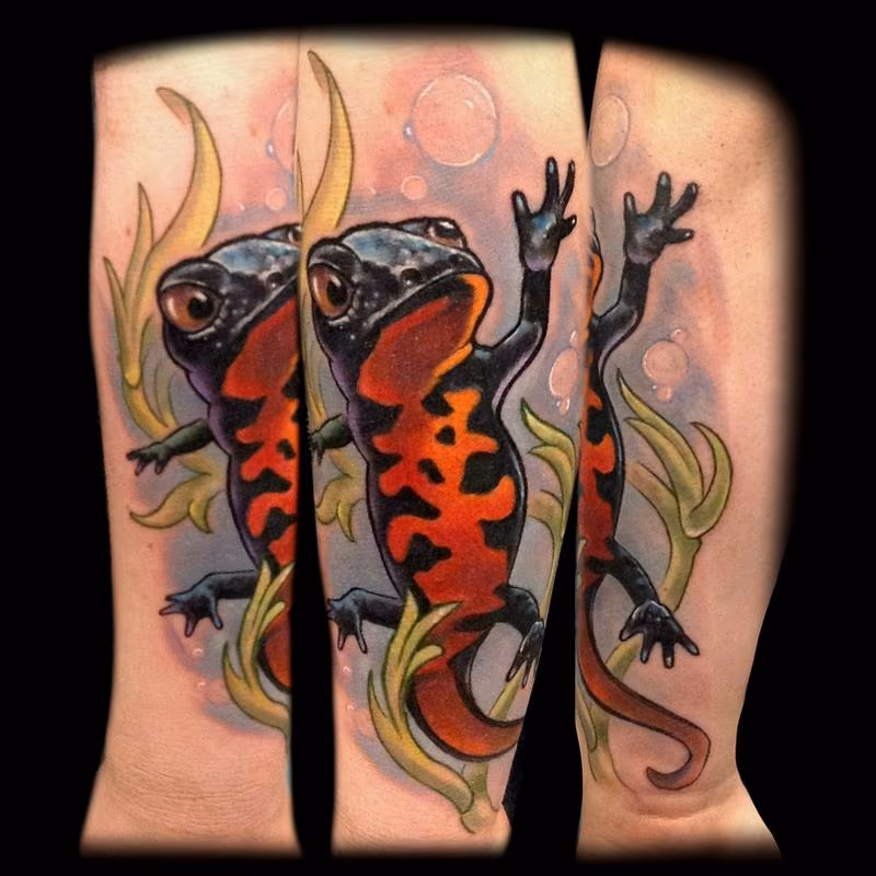 Lizard