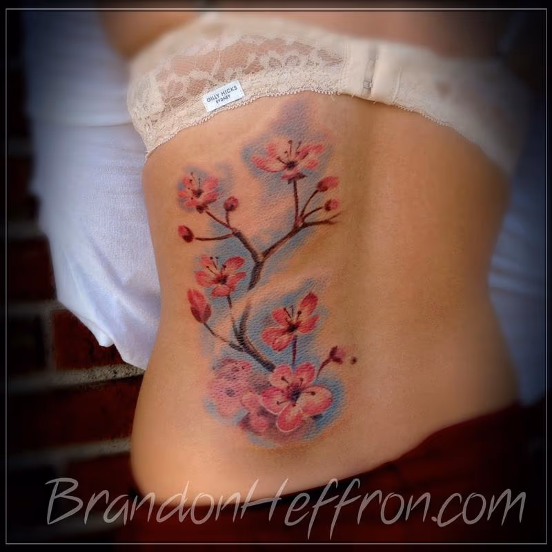 Cherry blossoms
