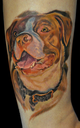 Dog Portrait