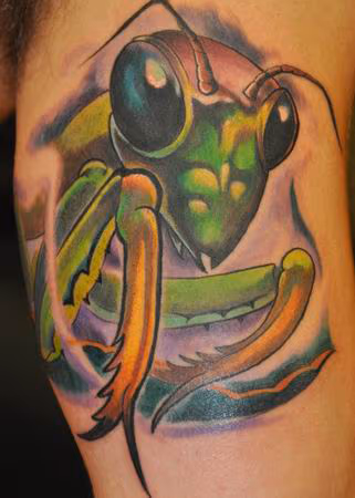 Praying Mantis