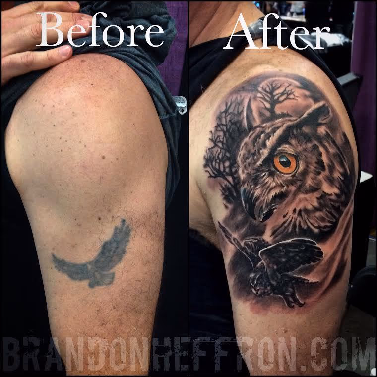Owl cover up