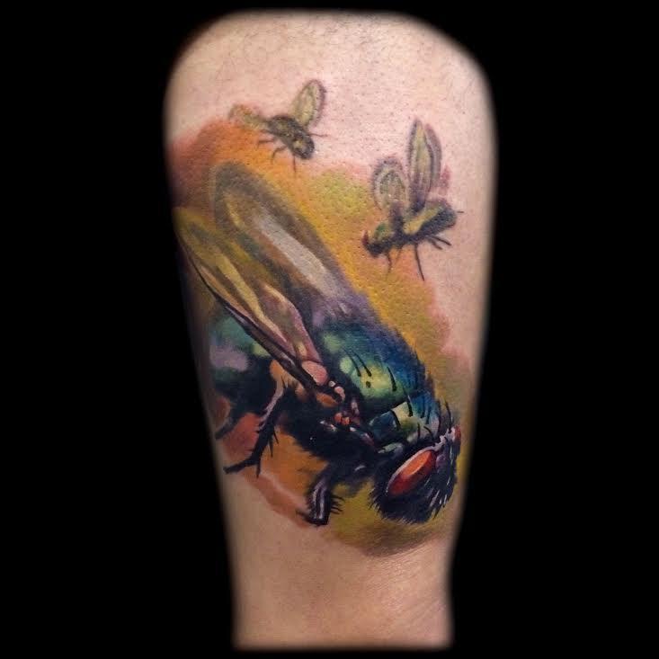 Fly