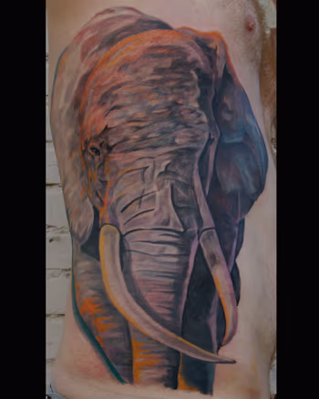Elephant