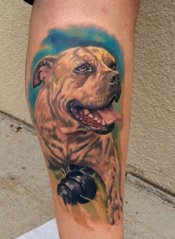 Dog Portrait