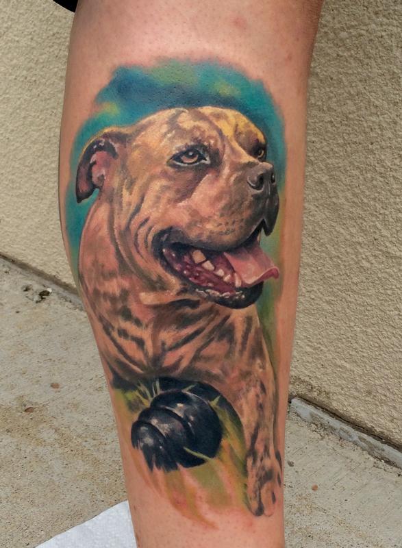 Dog Portrait