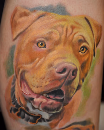 Dog Portrait