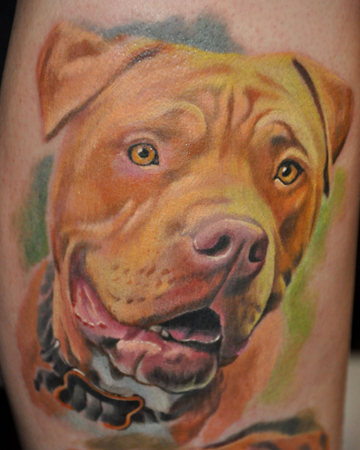Dog Portrait