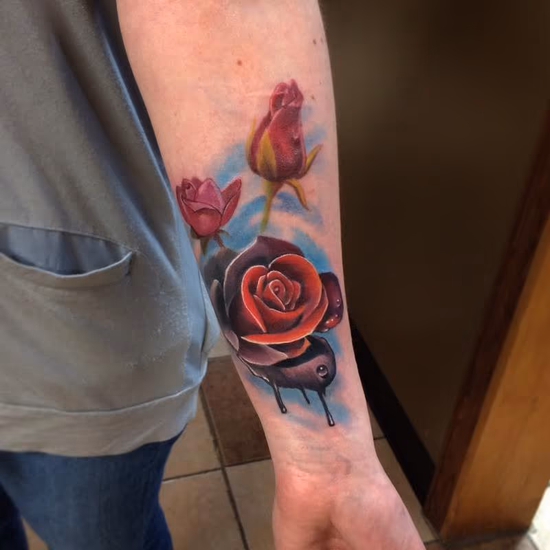 Roses