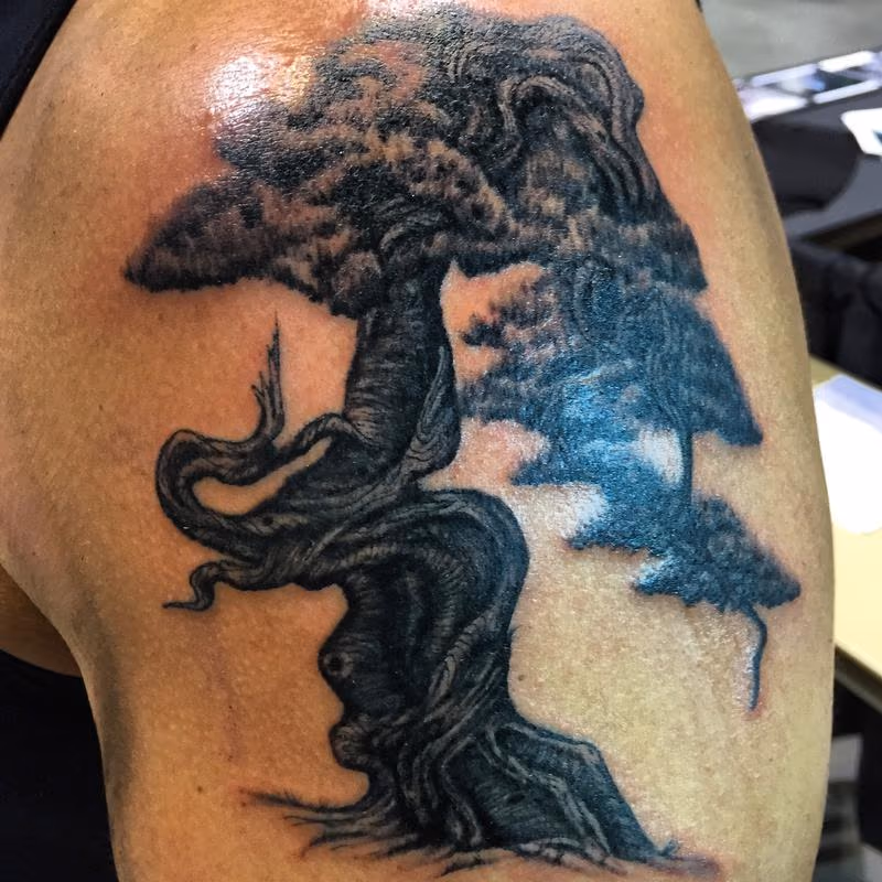 bonsai