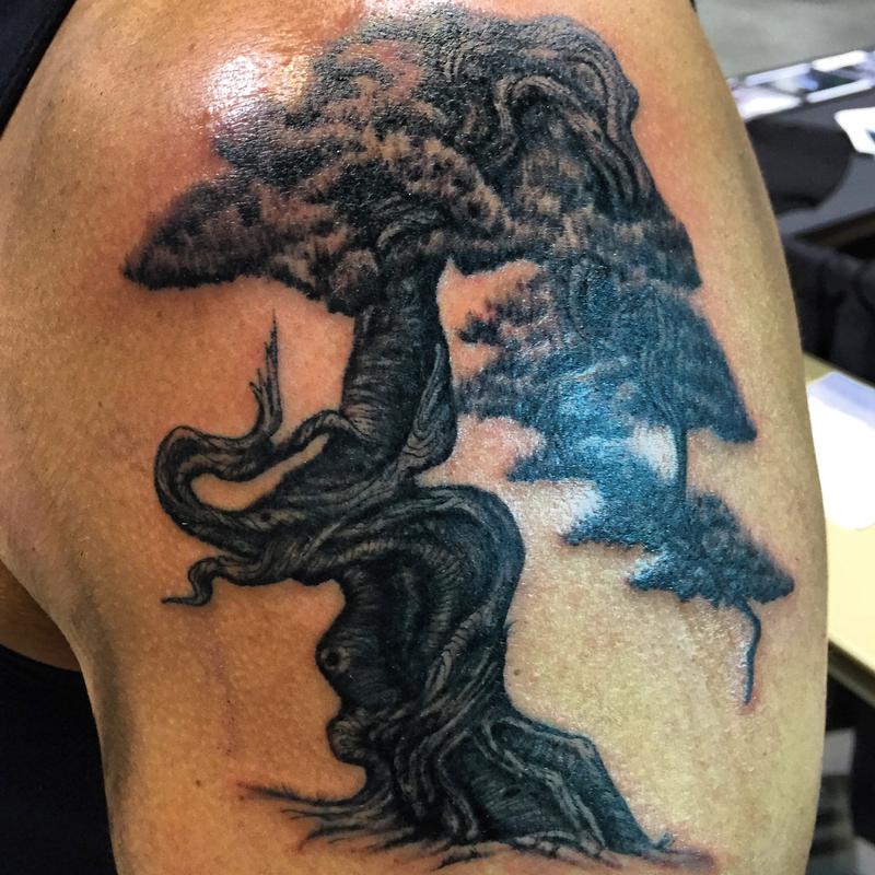 bonsai