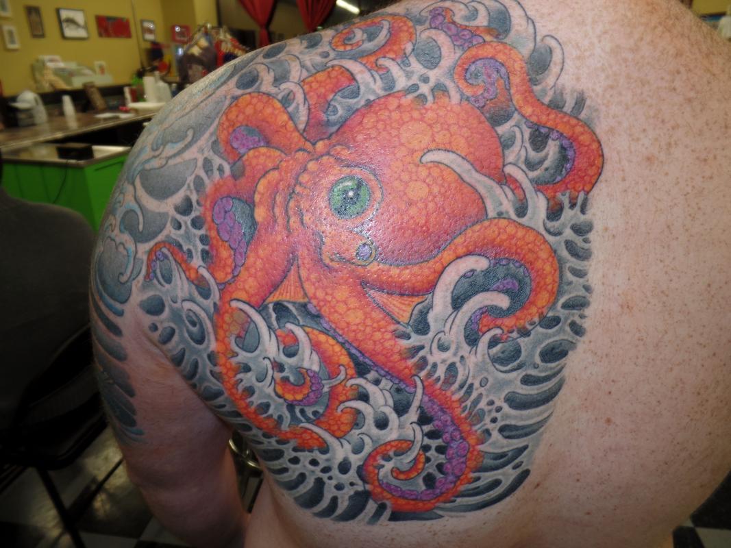 octopus