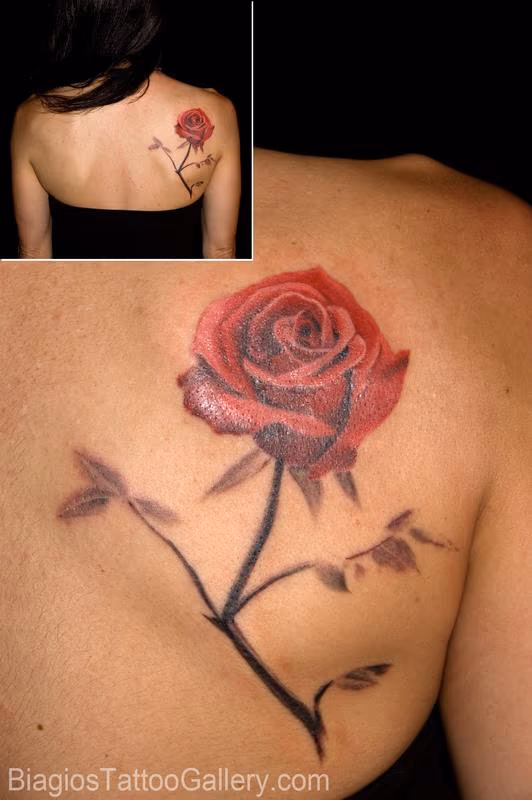 Red Rose on Grayscale stem
