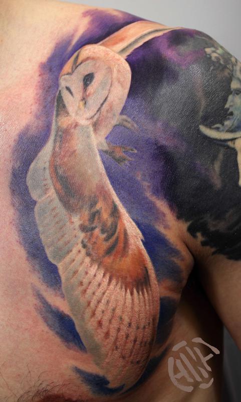 Barn Owl