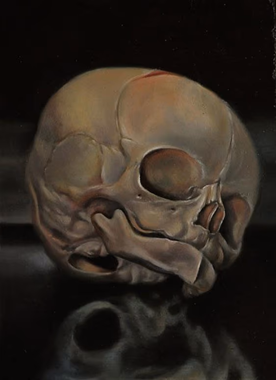 Fetal Skull Art