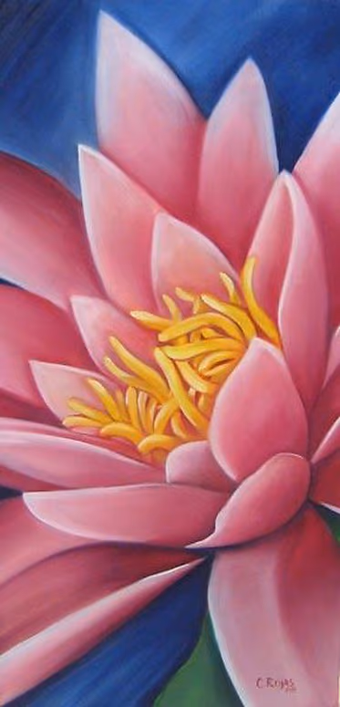 Waterlily Art