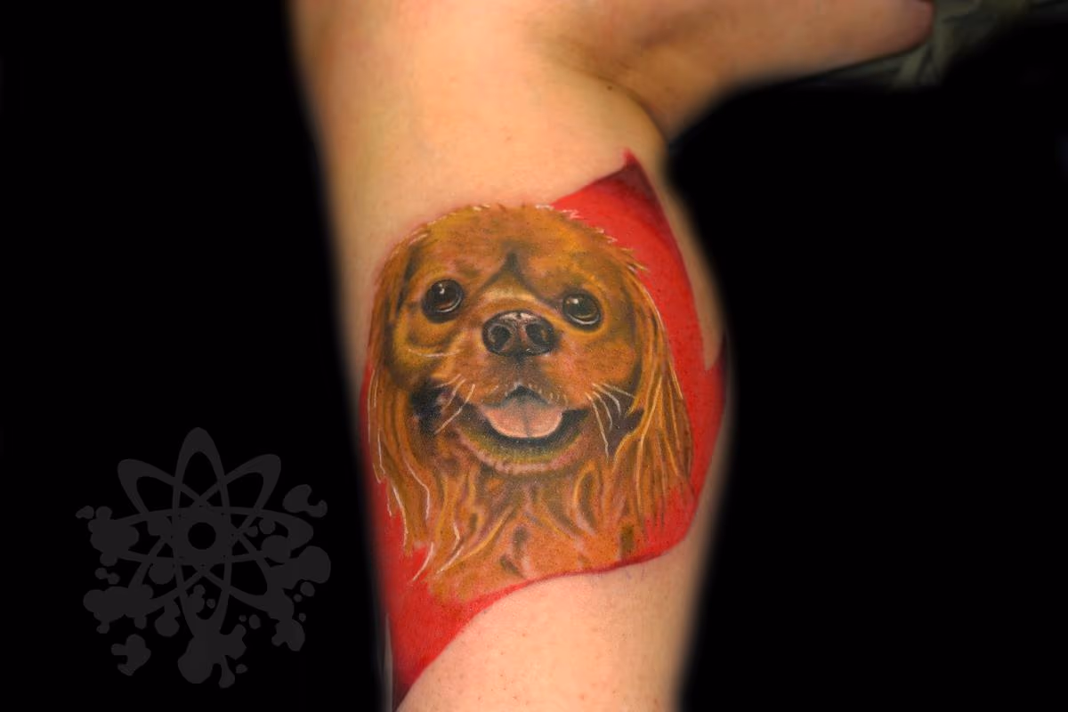 Puppy portrait