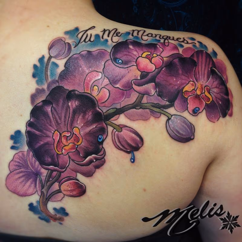 Purple Orchids