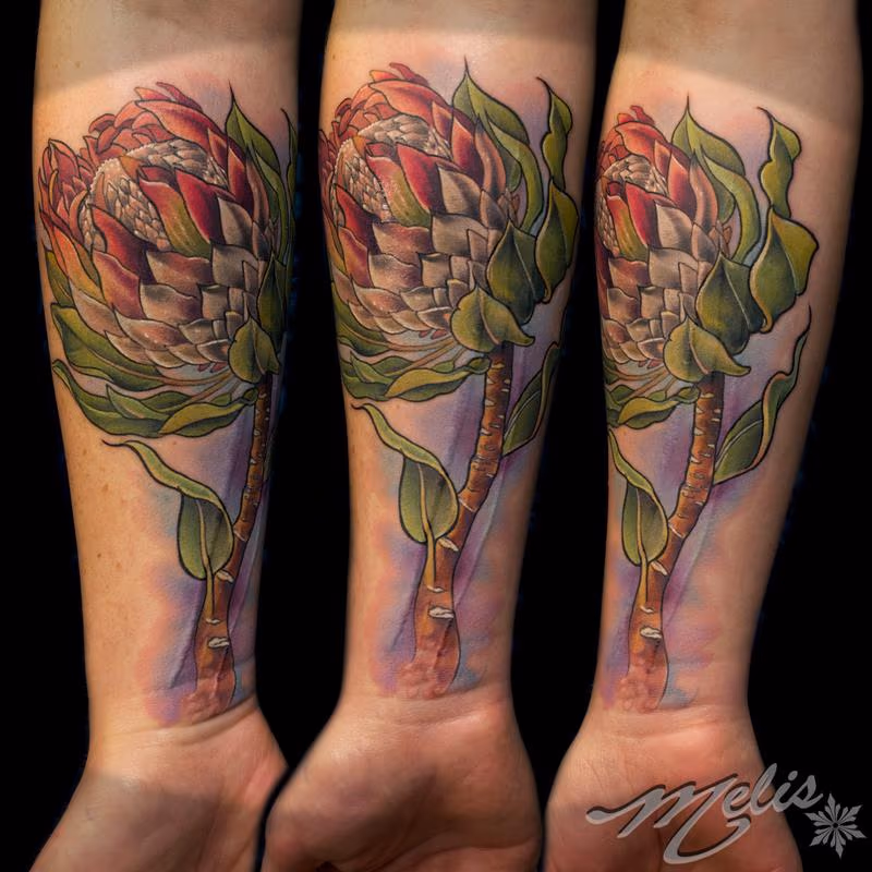 King Protea Flower