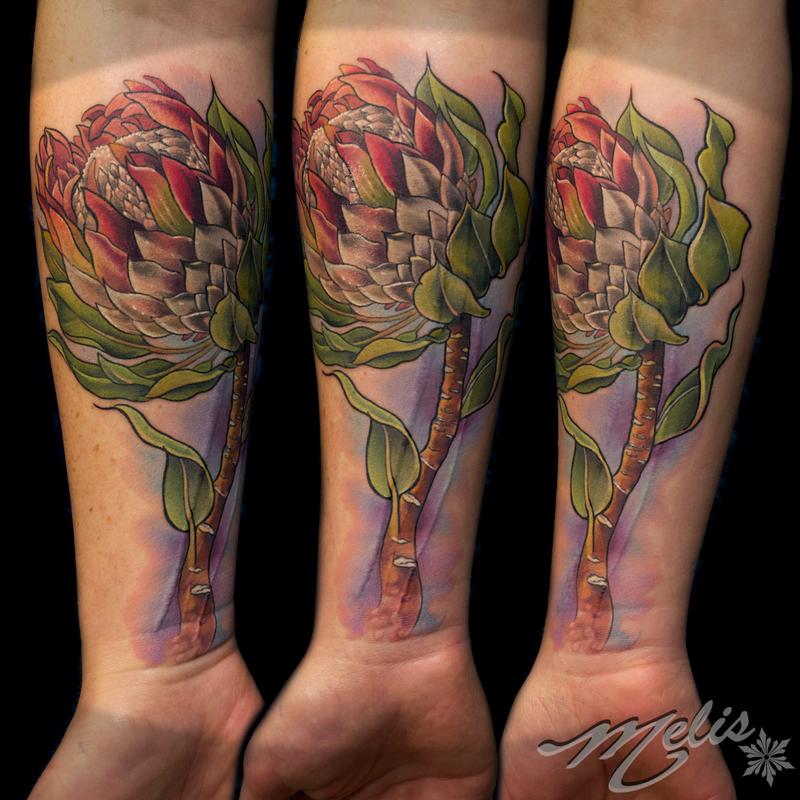 King Protea Flower