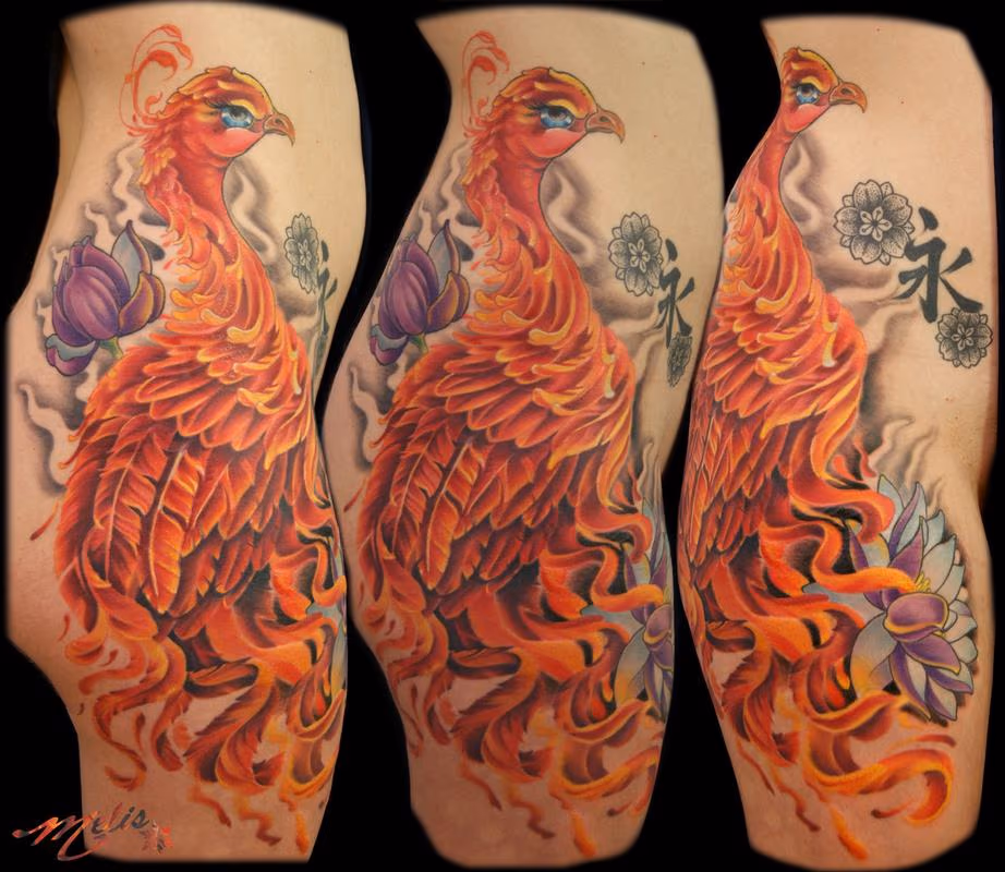 Perched Phoenix