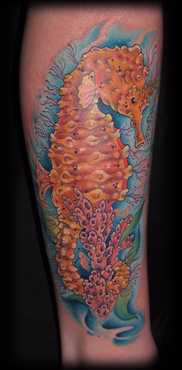 liz's seahorse