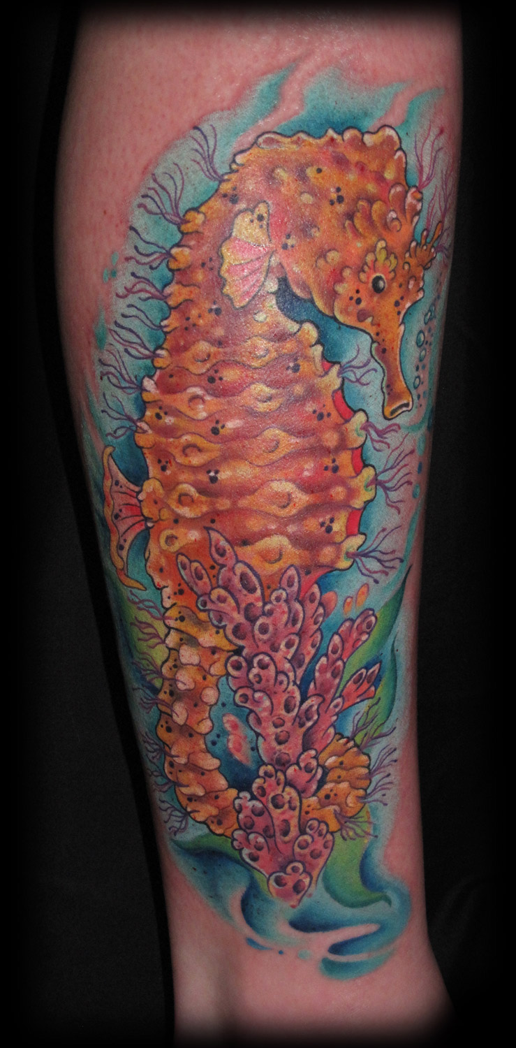 liz's seahorse