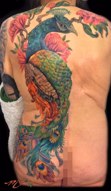 Peacock half back to front upper thigh
