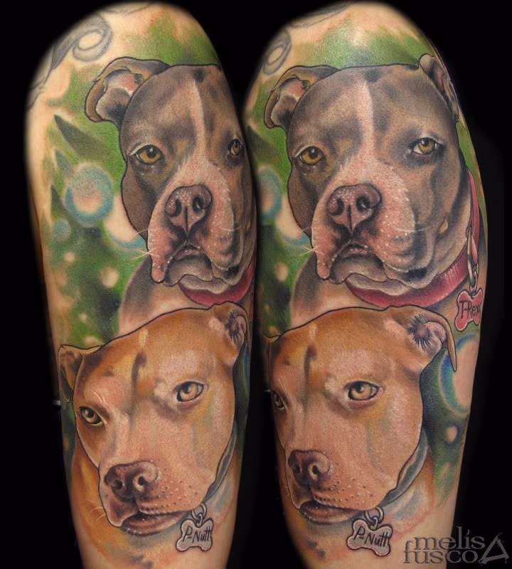 Pit Bull Pup's