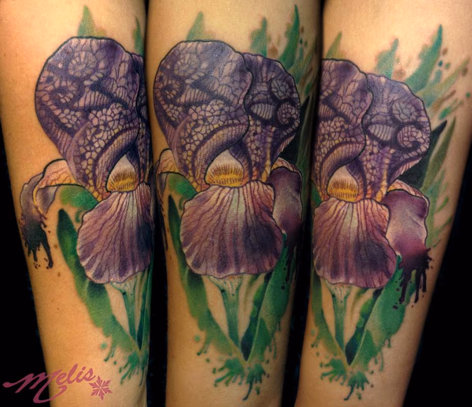 Lace Iris