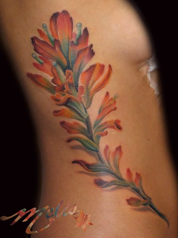 Indian Paint Brush Flower