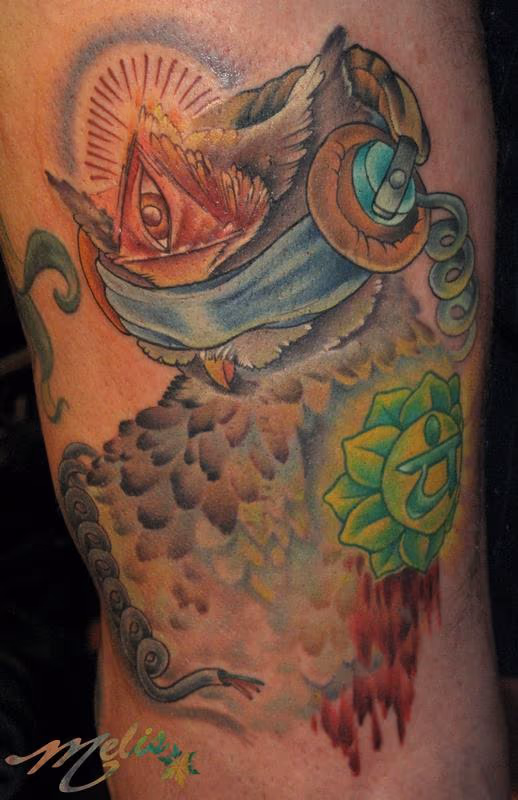 Owl, blindfolded and unplugged