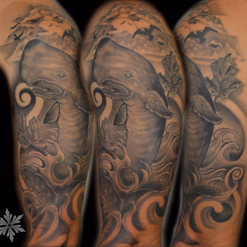 Sperm Whale B & G