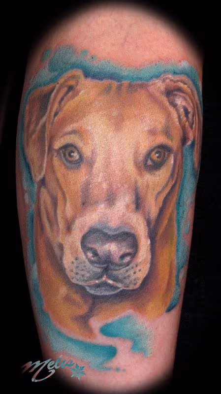 Dog Portrait