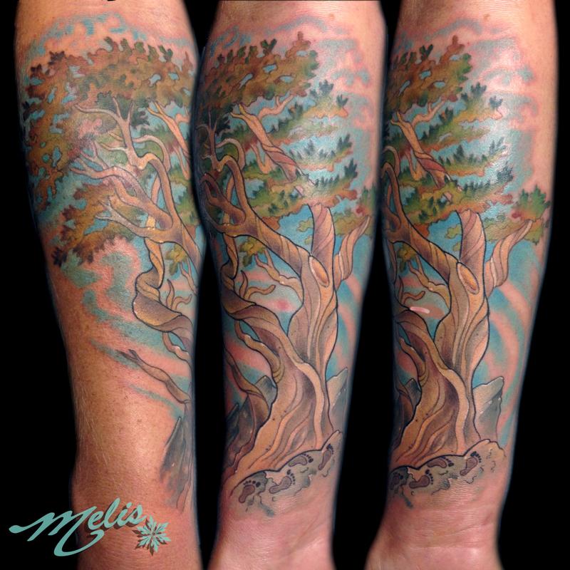 Bristlecone Pine Tree
