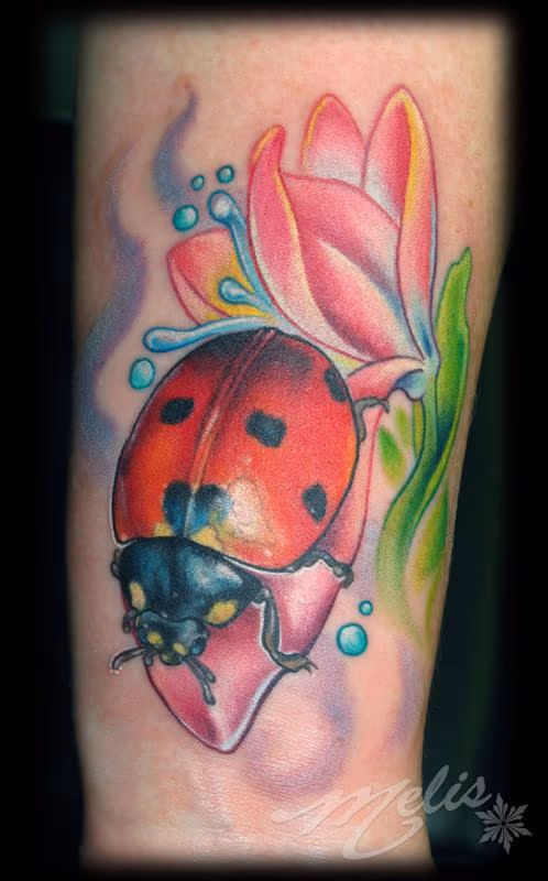 Lady Bug