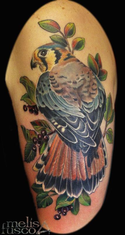hawk