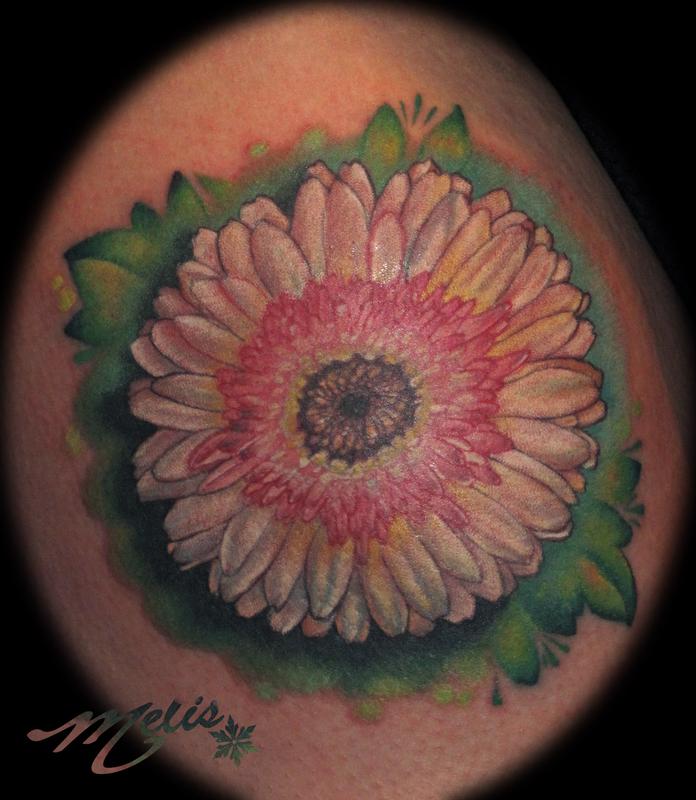 Gerber Daisy