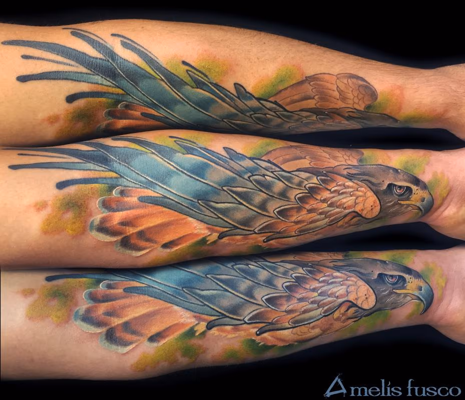 diving hawk