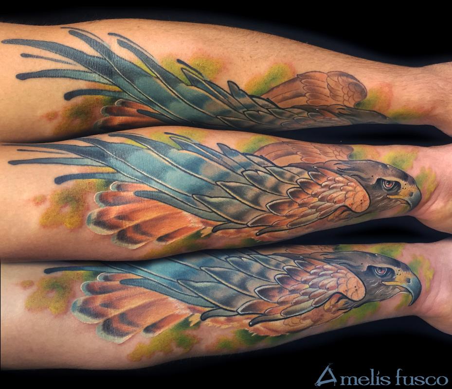 diving hawk