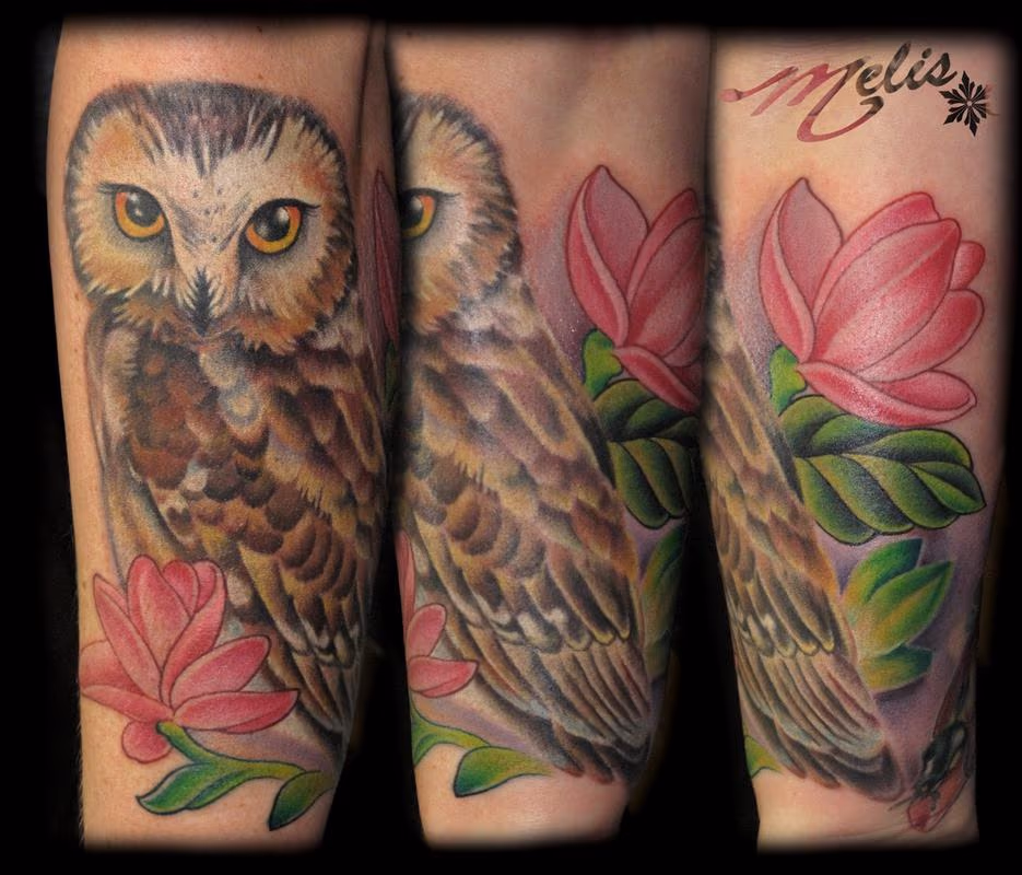 Northern Saw Whet Owl