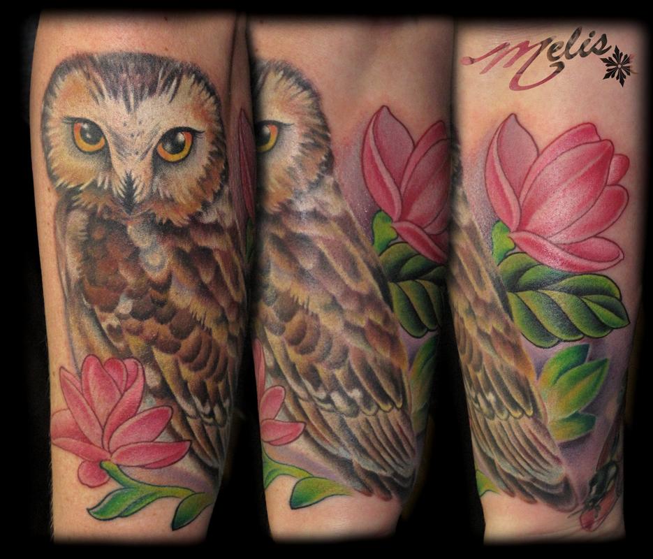 Northern Saw Whet Owl