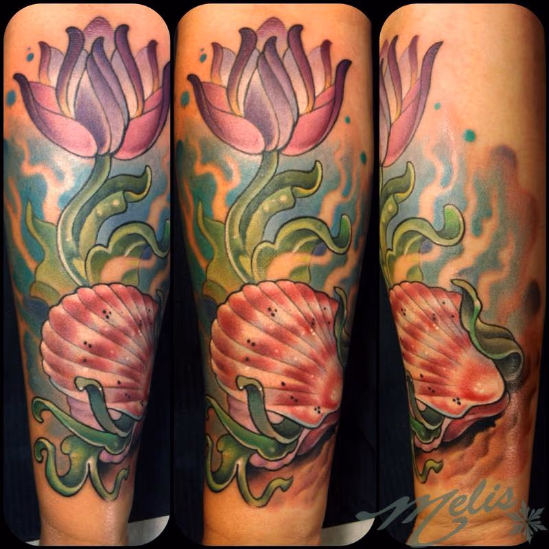 budding scallop shell