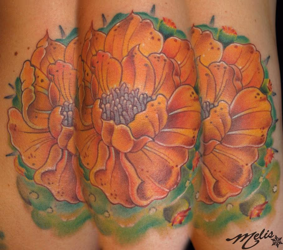 Cactus Flower on ELbow