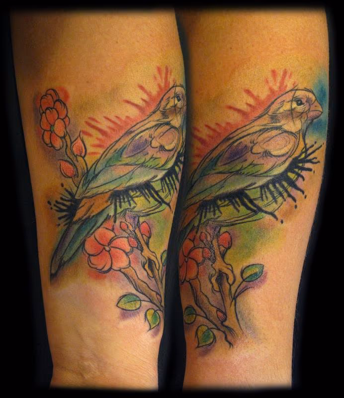 virgina's watercolor bird
