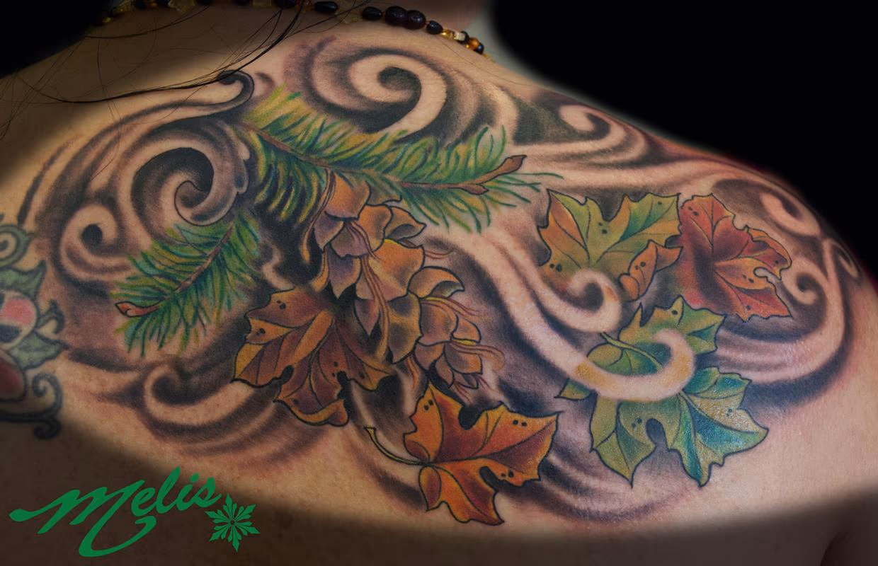 Douglas Fir and Maple leaves